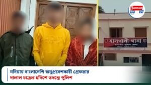 নদিয়ায় বাংলাদেশি অনুপ্রবেশকারী গ্রেফতার: দালাল চক্রের হদিশে তদন্তে পুলিশ