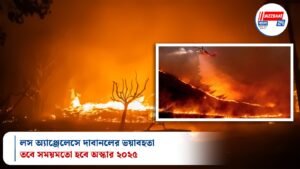 লস অ্যাঞ্জেলেসে দাবানলের ভয়াবহতা, তবে সময়মতো হবে অস্কার ২০২৫