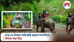 মাত্র ২৫ টাকায় লাটাগুড়ি জঙ্গল সাফারিতে উপচে পড়া ভিড়