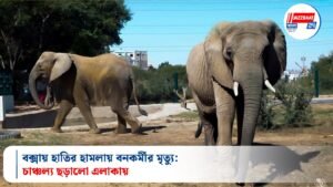 বক্সায় হাতির হামলায় বনকর্মীর মৃত্যু: চাঞ্চল্য ছড়ালো এলাকায়