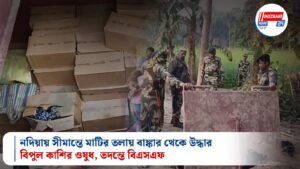 নদিয়ায় সীমান্তে মাটির তলায় বাঙ্কার থেকে উদ্ধার বিপুল কাশির ওষুধ, তদন্তে বিএসএফ