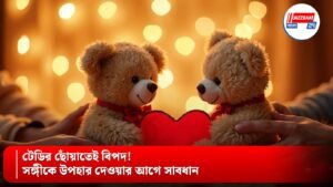 টেডির ছোঁয়াতেই বিপদ! সঙ্গীকে উপহার দেওয়ার আগে সাবধান