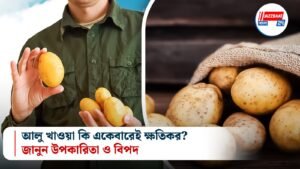 আলু খাওয়া কি একেবারেই ক্ষতিকর? জানুন উপকারিতা ও বিপদ