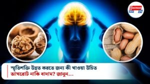 স্মৃতিশক্তি উন্নত করতে জন্য কী খাওয়া উচিত, আখরোট নাকি বাদাম? জানুন…