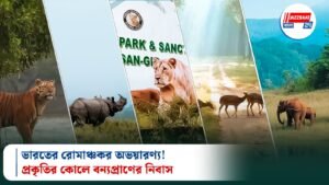 ভারতের রোমাঞ্চকর অভয়ারণ্য! প্রকৃতির কোলে বন্যপ্রাণের নিবাস