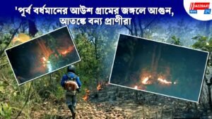 পূর্ব বর্ধমানের আউশ গ্রামের জঙ্গলে আগুন, আতঙ্কে বন্য প্রাণীরা