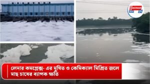 দূষিত জলে মৎস্যজীবীদের জীবন বিপন্ন! বিদ্যাধরী নদী কি সংকটের মুখে?