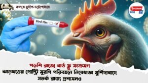 পড়শি রাজ্যে বার্ড ফ্লু সংক্রমণ, ঝাড়খণ্ডের পোল্ট্রি মুরগি পরিবহনে নিষেধাজ্ঞা মুর্শিদাবাদে, সতর্ক রাজ্য প্রশাসনও