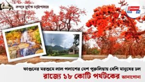 ফাগুনের মরশুমে লাল পলাশের দেশ পুরুলিয়ায় বেশি মানুষের ঢল, রাজ্যে ১৮ কোটি পর্যটকের আনাগোনা