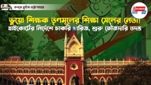 ভুয়ো শিক্ষক তৃণমূলের শিক্ষা সেলের নেতা! হাইকোর্টের নির্দেশে চাকরি খারিজ, ফৌজদারি তদন্তের নির্দেশ