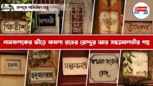নামফলকের ভীড়ে কমলা রঙের রোদ্দুর আর সন্ধ্যামালতীর গল্প