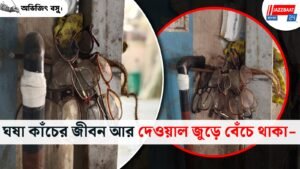 ঘষা কাঁচের জীবন আর দেওয়াল জুড়ে বেঁচে থাকা