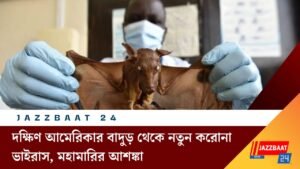 দক্ষিণ আমেরিকার বাদুড় থেকে নতুন করোনা ভাইরাস, মহামারির আশঙ্কা