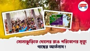সোনাঝুড়িতে দোলের রঙে পরিবেশের মৃত্যু, গাছের আর্তনাদ!