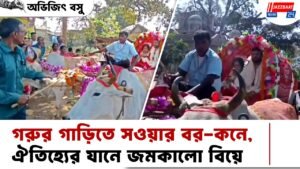 গরুর গাড়িতে সওয়ার বর-কনে, ঐতিহ্যের যানে জমকালো বিয়ে