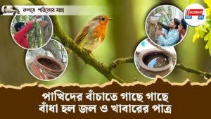 পাখিদের বাঁচাতে গাছে গাছে বাঁধা হল জল ও খাবারের পাত্র