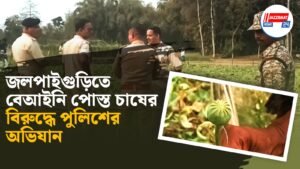 জলপাইগুড়িতে বেআইনি পোস্ত চাষের বিরুদ্ধে পুলিশের অভিযান