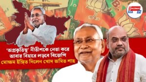 ‘অপ্রকৃতিস্থ’ নীতীশকে নেতা করে আবার বিহারে লড়বে বিজেপি, মোক্ষম ইঙ্গিত দিলেন খোদ অমিত শাহ
