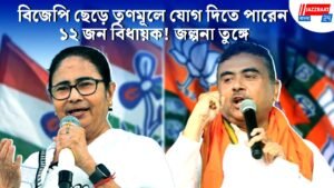 বিজেপি ছেড়ে তৃণমূলে যোগ দিতে পারেন ১২ জন বিধায়ক! জল্পনা তুঙ্গে