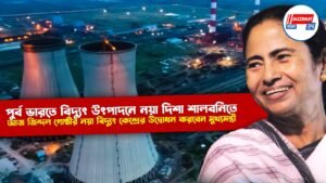 পুর্ব ভারতে বিদ্যুৎ উত্পাদনে নয়া দিশা শালবনিতে