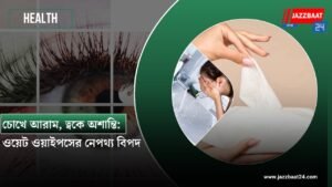 চোখে আরাম, ত্বকে অশান্তি: ওয়েট ওয়াইপসের নেপথ্য বিপদ