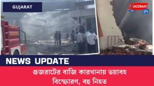 গুজরাটের বাজি কারখানায় ভয়াবহ বিস্ফোরণ, বহু নিহত