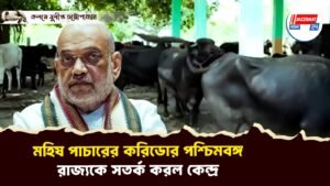 মহিষ পাচারের করিডোর পশ্চিমবঙ্গ, রাজ্যকে সতর্ক করল কেন্দ্র