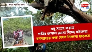 মধু সংগ্রহ করতে গভীর জঙ্গলে রওনা দিচ্ছে মউলেরা বনদপ্তরের পক্ষ থেকে মিললো ছাড়পত্র