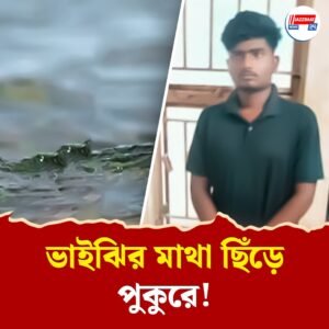 খেলতে খেলতে হঠাৎ আড়াই বছরের ভাইঝির মাথা ছিঁড়ে ছুঁড়ে পুকুরে! কাকুর কীর্তিতে শোরগোল