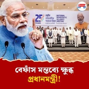 ‘বিতর্কিত কোনও মন্তব্য নয়’, এনডিএ নেতাদের সতর্ক করলেন মোদী