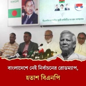 বারবার সাক্ষাতেও নির্বাচনের রোডম্যাপ নেই, অবিলম্বে তা প্রকাশের দাবি হতাশ বিএনপির