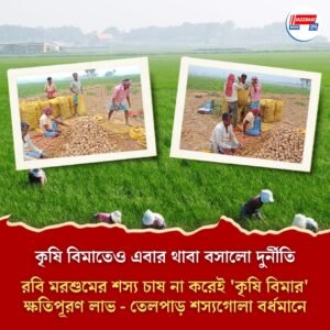 কৃষি বিমাতেও এবার থাবা বসালো দুর্নীতি -রবি মরশুমের শস্য চাষ না করেই ’কৃষি বিমার’ ক্ষতিপূরণ লাভ – তেলপাড় শস্যগোলা বর্ধমানে