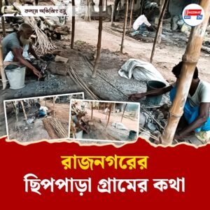 রাজনগরের ছিপপাড়া গ্রামের কথা – অভিজিৎ বসু।