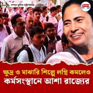 ক্ষুদ্র ও মাঝারি শিল্পে লগ্নি কমলেও কর্মসংস্থানে আশা রাজ্যের