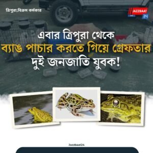 এবার ত্রিপুরা থেকে ব্যাঙ পাচার করতে গিয়ে গ্রেফতার দুই জনজাতি যুবক!