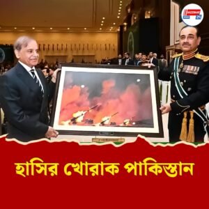 ‘ফ্রেম অ্যান্ড শেম’! পাকিস্তানের ‘যুদ্ধজয়’ আসলে চিনের পুরনো ছবি, হাসতে হাসতে পেটে ব্যথা বিশ্বের