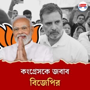 ‘রাহুল গান্ধীকে তো হাফিজ সইদ পছন্দ করে’, সেনা অভিযান নিয়ে প্রশ্ন তোলায় কটাক্ষ বিজেপির