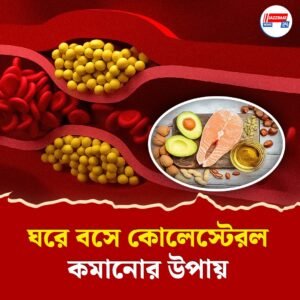 মার্কিন ডাক্তারের পরামর্শে ৭ রকম খাবারে কমবে খারাপ কোলেস্টেরল
