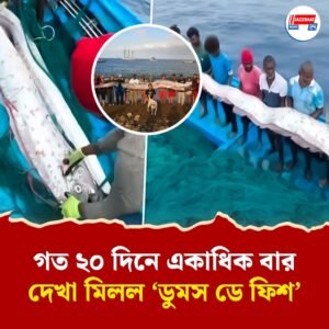 ধেয়ে আসছে বিপর্যয়! তামিলনাড়ুর উপকূলে দেখা দিল রহস্যময় ‘ডুমস ডে ফিশ’, কী হবে এ বার?