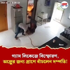গ্যাস সিলিন্ডার লিক করে বিস্ফোরণ, অল্পের জন্য প্রাণে বাঁচলেন এক দম্পতি, ভাইরাল ভিডিয়ো