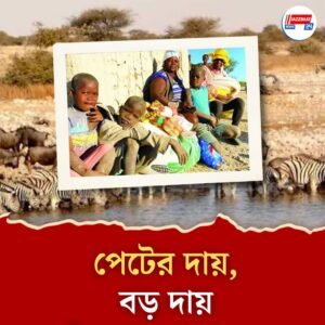 খিদের জ্বালা মেটাতে সরকারই পশু মেরে খাওয়াচ্ছে, জানেন কোথায়?