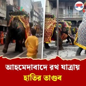 ডিজে বক্সের আওয়াজে বেকাবু হাতি! গুজরাতে রথ যাত্রায় ধুন্ধুমার, পদপিষ্ট অন্তত চার জন