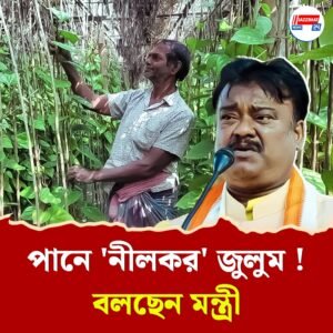পান চাষিদের উপর জুলুম ও হয়রানি রুখতে ‘স্বনির্ভর’ উদ্যোগ, কড়া পদক্ষেপের ভাবনা রাজ্যের