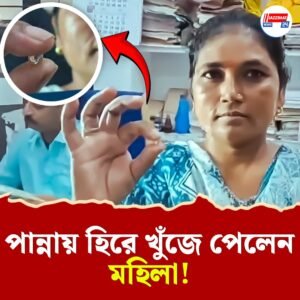 ভাগ্য নাকি শ্রমের মূল্য! পান্নায় ২.৬৯ ক্যারেট হিরে খুঁজে পেলেন মহিলা