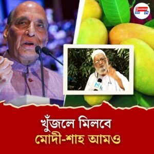 কলিমুল্লাহের বাগানে ফলছে ‘রাজনাথ আম’, পদ্মশ্রীর কীর্তিতে অবাক দেশ