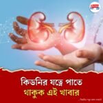 ডায়েটে কী কী থাকলে কিডনি থাকবে সুস্থ? বাদ পড়বে কোনগুলি?