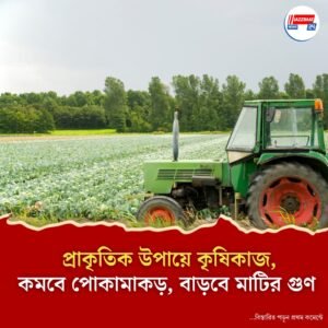প্রাকৃতিক উপায়ে কৃষিকাজ, কমবে পোকামাকড়, বাড়বে মাটির গুণ