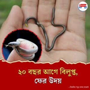 ফিরে এল পৃথিবীর সব থেকে সরু সাপ