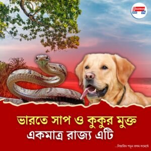 ভারতে সাপ ও কুকুর মুক্ত একমাত্র রাজ্য এটি