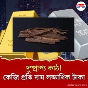 এই কাঠের কাছে হার মানবে সোনা-রুপো